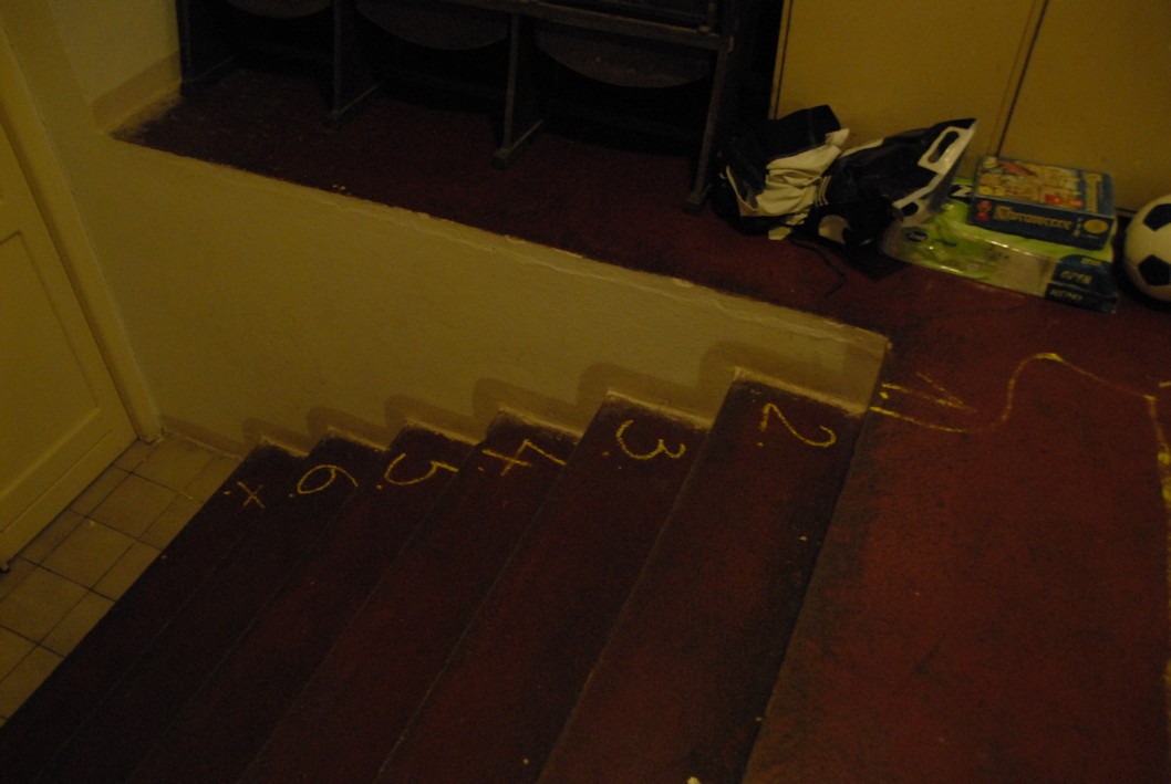 025 Expedice GEMINI 2010